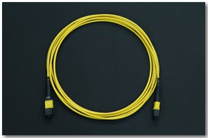 MTP20Trunk20Cable20Assemblies