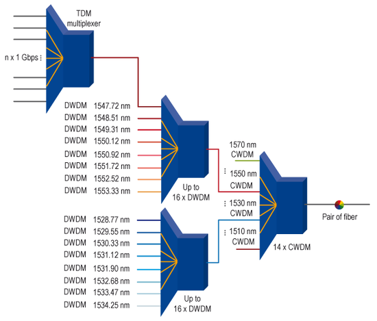 TDM over DWDM or CWDM